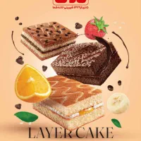 ویزیتور برای شرکت کیک کلوچه نادی