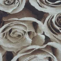 فرش