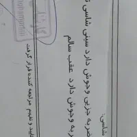 پیکان وانت دوگانه فابریک|خودرو سواری و وانت|باغستان, |دیوار