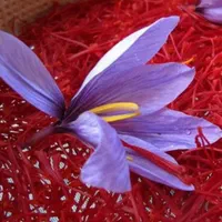 زعفران|خوردنی و آشامیدنی|تهران, سعادت‌آباد|دیوار