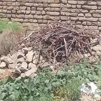 چوب خشک هیزمی