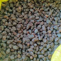 کشمش وه مویز|عمدهفروشی|یاسوج, |دیوار