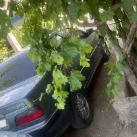 فروشی|خودرو سواری و وانت|ریگان, |دیوار