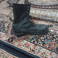 پوتین گم شده