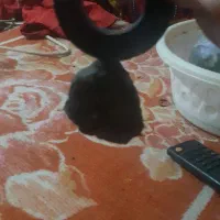 سنگ شهاب سنگ