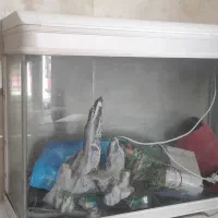 فروش آکواریم. کارخانه ای