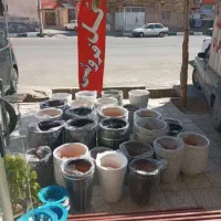 گلدانهای سایز بزرگ وکوچک