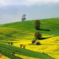شریک برای شرکت پخش مواد غذایی