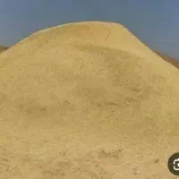 کاه گندم دیم