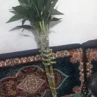 گل مصنوعی متنوع