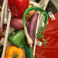 وسایل تزیینی.|صنایع دستی و سایر لوازم تزئینی|تهران, تهران‌نو|دیوار