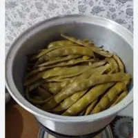 ترپیله
