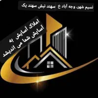 یک تکه طلا پیدا شده