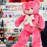 دیگه سورپرایز کردنش کاره سختی نیست/ سرزمین هدیه