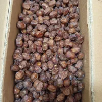 خرما پیاروم خاصویی و..|خوردنی و آشامیدنی|بندرعباس, |دیوار