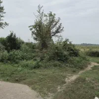 ۴۳۰مترزمین مسکونی/کوچه دنج روستا/ویوی مزارع برنج