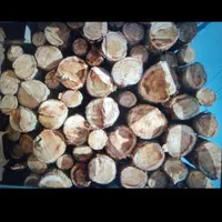 خرید چوب باغی و تیره سقفی و تسویه پای باسکول|خدمات باغبانی و درختکاری|کنگاور, |دیوار