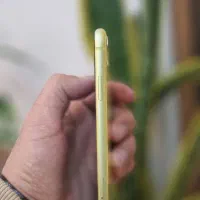 iphone 11 ایفون ۱۱ نرمال|موبایل|تهران, جردن|دیوار