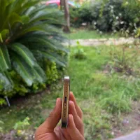 ایفون ۱۶پرو ۲۵۶گیگ تیتانیوم zaa|موبایل|بابلسر, |دیوار