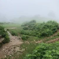 فروش ۵۰ قصب باغ ویلا قناتغستان