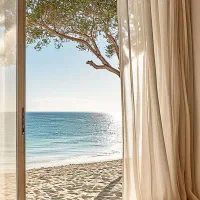 کنسرت کماکان