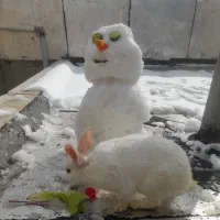 خرگوش|موش و خرگوش|کرمانشاه, |دیوار