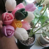 فروش انواع دسته گل وباکس جاودانه