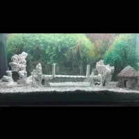 آکواریوم با همه وسایل فقط|لوازم جانبی حیوانات|آذرشهر, |دیوار