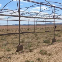 فروش اسکلت گلخانه متراژ ۱۰۰۰|مصالح و تجهیزات ساختمان|زهان, |دیوار