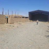 اجاره کاراژدر قلعه صدری|اجارهٔ دفتر صنعتی، کشاورزی، تجاری|قم, قلعه صدری|دیوار