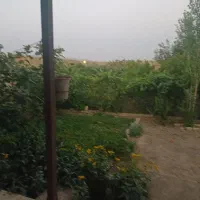 فروش خونه باغ و دامداری در ساوه با سند تک برگ|فروش دفتر صنعتی، کشاورزی، تجاری|تهران, منیریه|دیوار