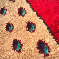 قالی چه|فرش|شیراز, شهرک گلستان|دیوار