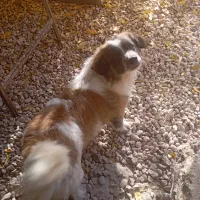 فروشی قیمت پیشنهادی