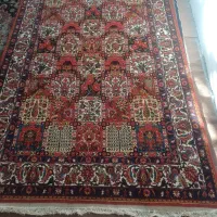 قالی|فرش|سامان, |دیوار