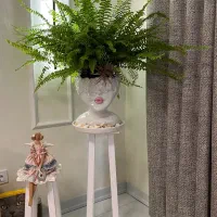 گل سرخس مناسب هدیه چشم روشنی با چهارپایه رایگان