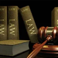 وکیل پایه یک دادگستری (خانم)