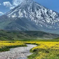 زمین با سند شش دانگ دماوند نصف قیمت