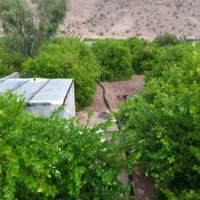 فروش باغ ۵۰۰۰ متری گچساران|فروش زمین و ملک کلنگی|دوگنبدان, |دیوار