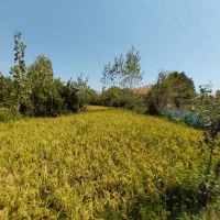 فروش ویلایی۱۰۰متری/محوطه۴۵۰۰متری/سند/برآسفالت|فروش خانه و ویلا|شفت, |دیوار