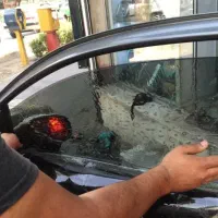 نصب شیشه دودی سیار در محل