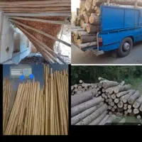 *(خریدانواع چوب تروخشک)*