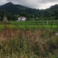 اجاره کلبه و ویلا جنگلی ماسال