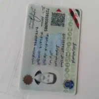 رانندگی آنلاین