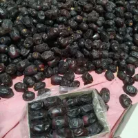 خرمای مضافتی|خوردنی و آشامیدنی|بم, |دیوار