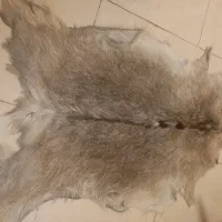 خز ( پوست ) طبیعی
