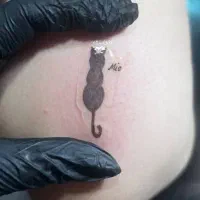 مدل رنگ و لایت ، میکاپ،کراتین و پروتئین تراپی|خدمات آرایشگری و زیبایی|رشت, معلم|دیوار