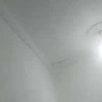 نیازمند همخونه