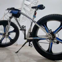 دوچرخه ساحلی کلکسیونی