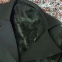 پالتووشلوار|لباس|سقز, |دیوار