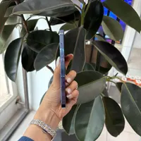 اپل iPhone 13 Pro با حافظهٔ ۲۵۶ گیگابایت|موبایل|تهران, شهرک غرب|دیوار